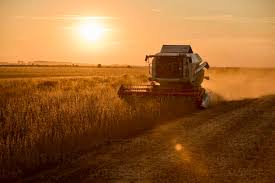 2025: Una de las mejores cosechas de cereal desde el 1990