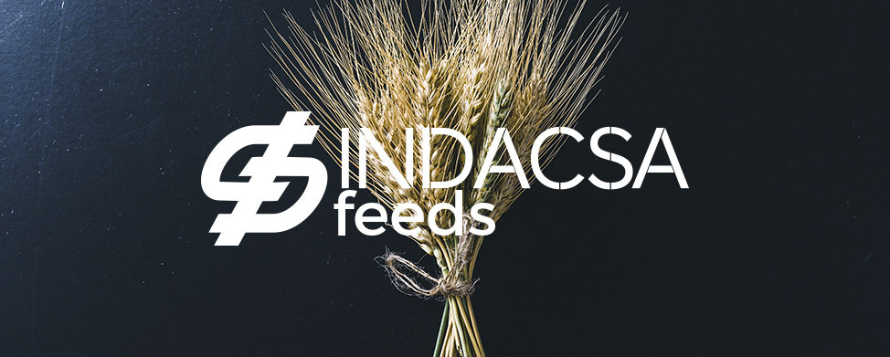 imagen_feed_indacsa (2)