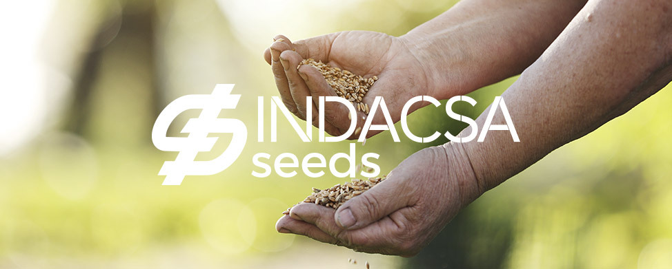 Indacsa Seeds