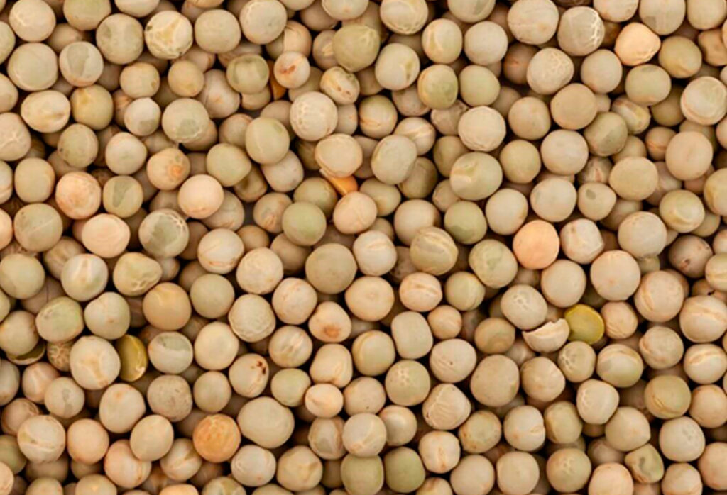 guisantes_eco_